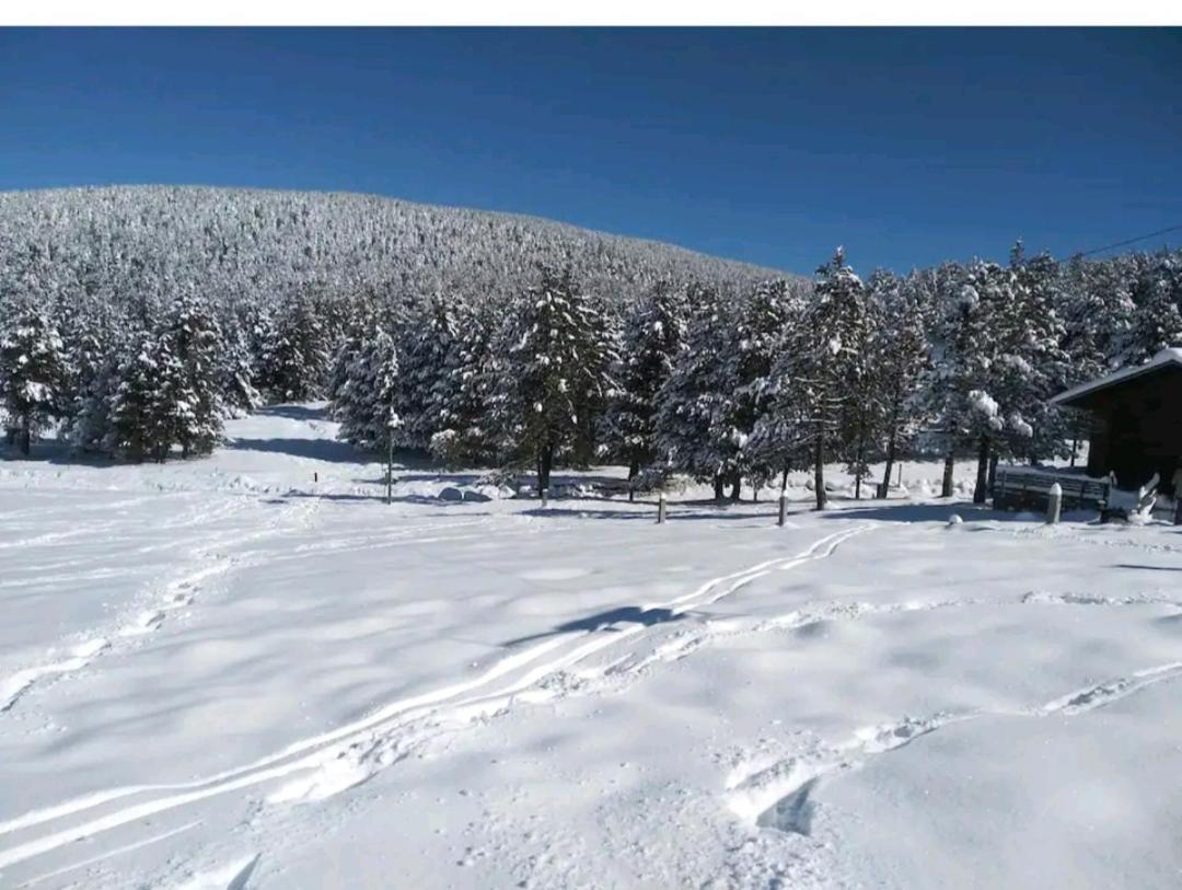 Apartamento En El Pirineo Catalan Sant Jordi de Cercs Bagian luar foto
